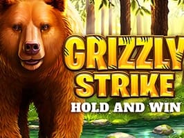 Grizzly Strike screenshot